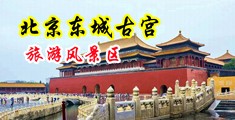 操嫩屄网站中国北京-东城古宫旅游风景区